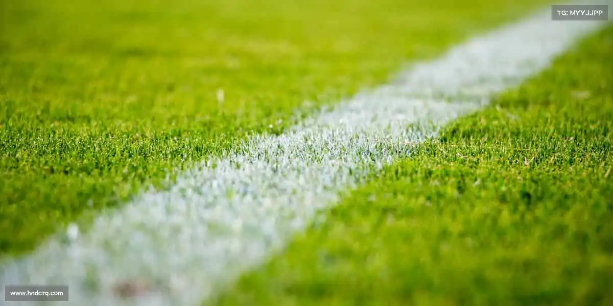 我们的核心竞争力